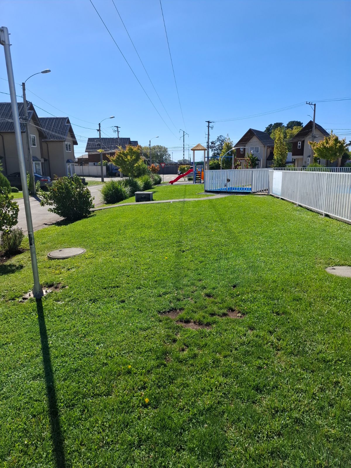 Vane 16_69cff0936cda5.jpg